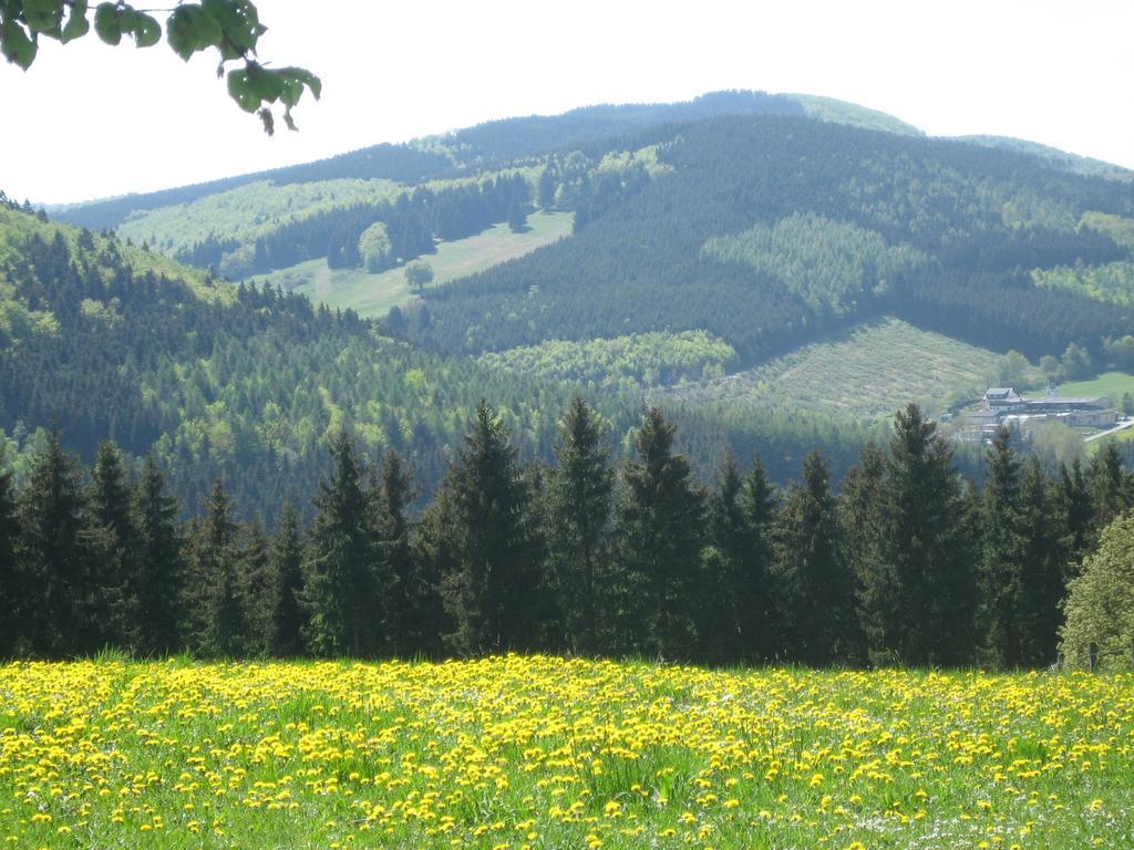 Ferienwohnung Inge Steinruecken Winterberg Esterno foto