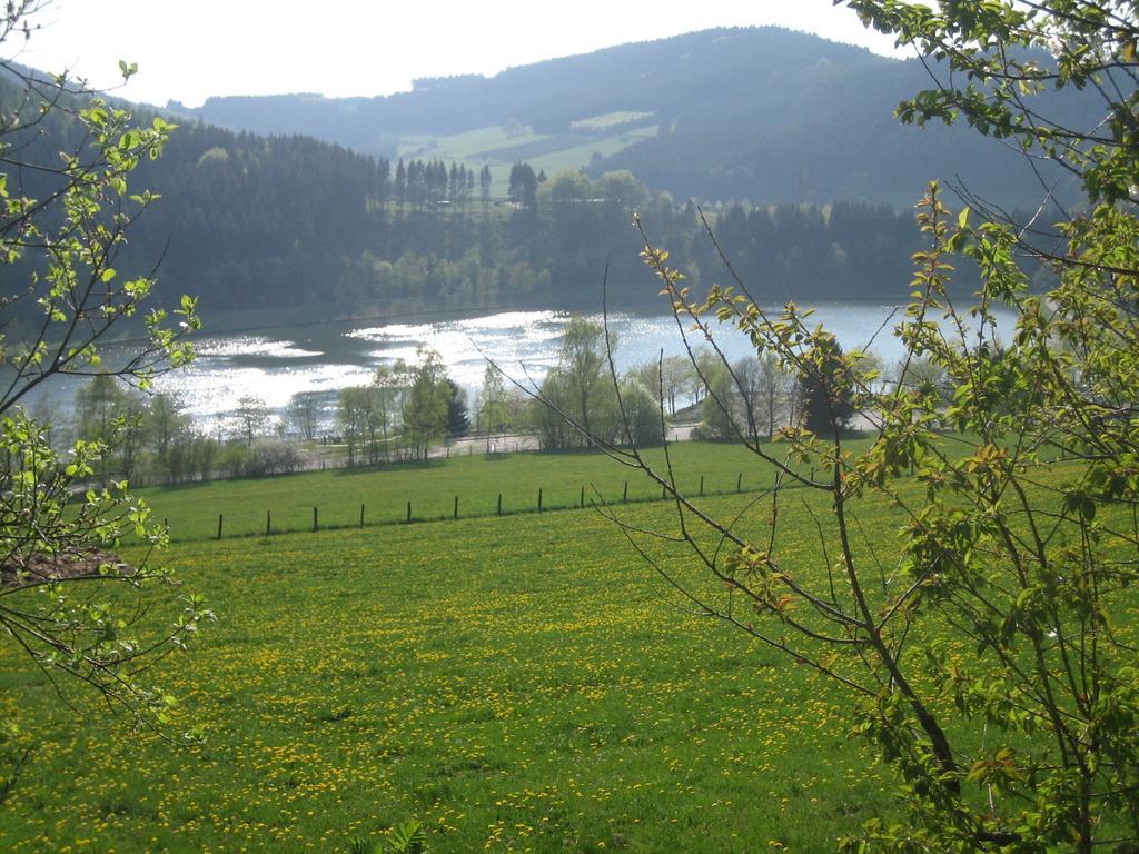 Ferienwohnung Inge Steinruecken Winterberg Esterno foto